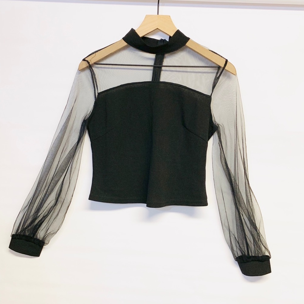 Black Sheer Mesh Long Sleeve Cropped Top Medium – Concert Night Out Clubwear